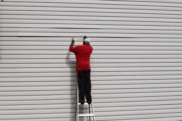 Affordable Siding Repair and Maintenance Services in Blair, NE